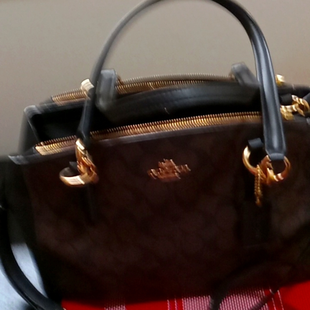 Clean coach satchels
